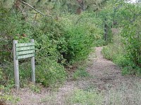 smithcreektrail